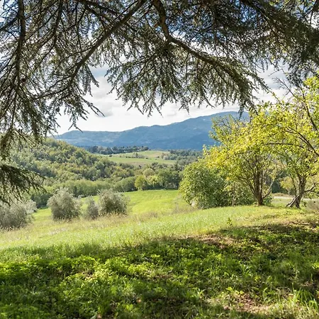 Casa Cerlo * فيتشو